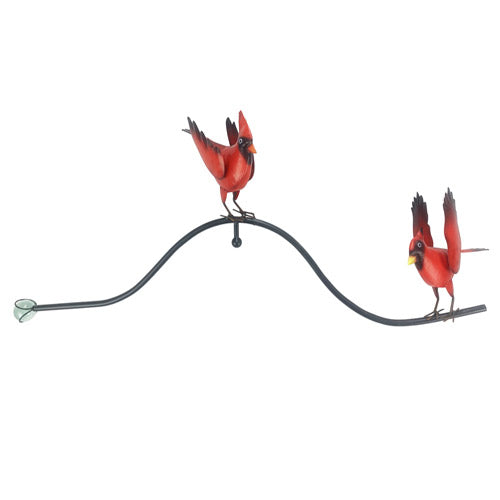Balancer Fluttering Cardinals