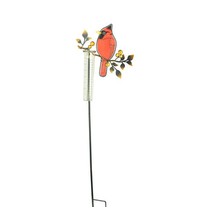 Rain Gauge Cardinal on Branch