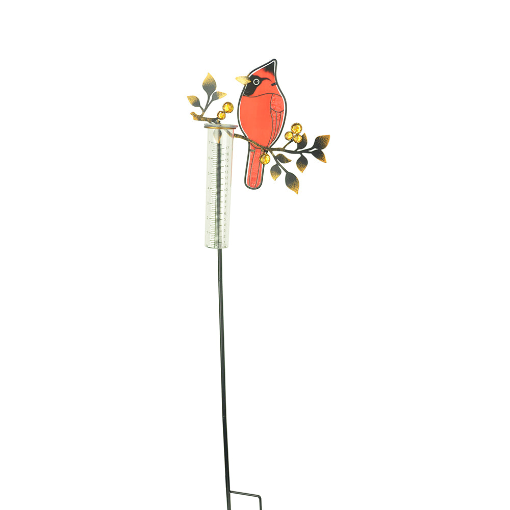 Rain Gauge Cardinal on Branch