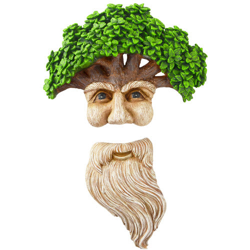 Tree Face Long Beard Old Man